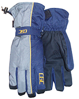 20093 Ski Glove